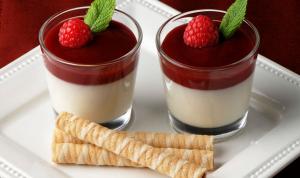 Panna cotta s malinami